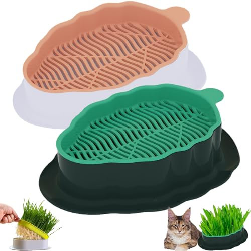 YUMINGUHC Maceta hidropónica de hierba gatera para gatos, bandeja de semillas de pasto de trigo, kit de cultivo de césped para gatos (no incluye semillas), caja de plantación de plantas de vivero para