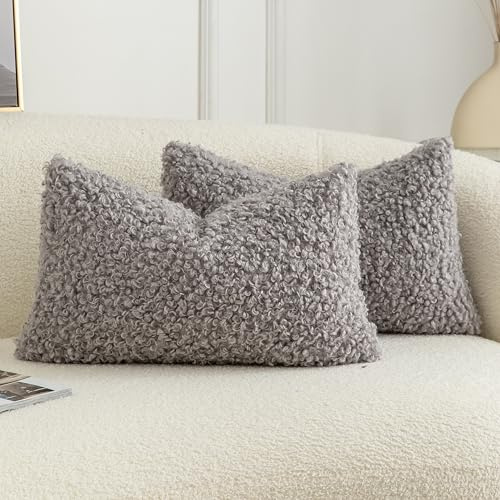 Joyouth 2er Set Curly Teddy Wolle Faux Pelz werfen Kissenbezug Abdeckungen Fuzzy Akzent weiche Sherpa Kissenbezüge Schaffel Fleece Dekorative Kissen Fall für Sofa Couch Wohnzimmer 30x50 cm Hellgrau