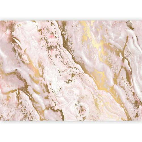 murando Fotomurales Abstracto 400x280 cm XXL Papel pintado tejido no tejido Decoración de Pared decorativos Murales moderna de Diseno Fotográfico Aspecto de mármol Muro de piedra 3D f-C-0494-a-a