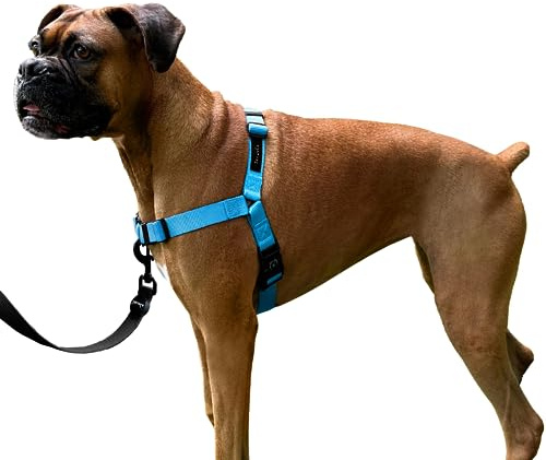 ShawnCo Dream Walk No-Pull Dog Harness (Oceanic Blue, M)