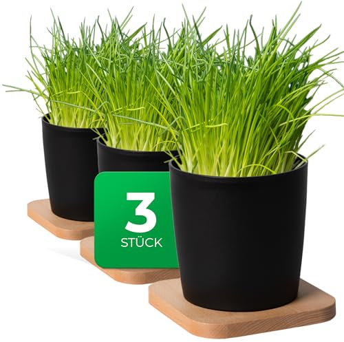 Novaliv Stilvolle 3er Set Kräutertopf mit Holzunterlage für Jede Fensterbank, Für frische Küchenkräuter, Kräutergarten für die küche, Kräuterbeet Indoor, Zimmerpflanzen, Pflanzentopf, Pflanzschale