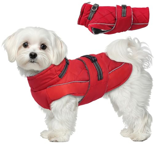 Katzinst Wintermantel Hund M, Wintermantel Hunde mit Hohem Kragen, Warmer Hundejacke mit D-Ring für Cocker Spaniel, Abend-Gassi, M