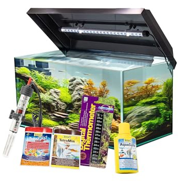 VIALIA Aquarium Komplettset 60x30x30 cm 54 Liter Glasbecken Starter-Set | mit Juwel LED Abdeckung Schwarz, inkl. Heizer, Thermometer, Aufbereiter & Futter, Stoßfestes Floatglas & Diamantschliff