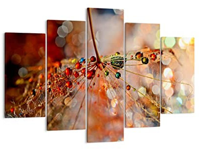 Mehrteilige Bilder auf Leinwand 150x100cm Leinwandbild Spinnennetz modern Groß XXL Wanddeko Bild Schlafzimmer Set 5 teilige Wandbilder Dekoration Wohnzimmer Canvas Wand Kunstdruck Art EA150x100-3774