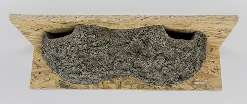 Mehlschwalben Doppelnest, Mehlschwalbennester, Schwalbennester, Nistkasten