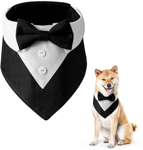 1 Stück Hundebowtie-Halstuch, Hund Formales Hochzeitstuch, Haustierparty-Smoking-Schleife, Verstellbares Atmungsaktives Hundetuch, Haustier Geburtstagskostüm, für Kleine Mittelgroße Hunde (Schwarz)