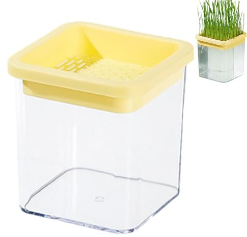 Katzengras-Pflanzgefäß, Soilless Culture Katzengras Anzuchtset – Hydrokultur-Katzengras-Pflanzgefäß, transparente Keimschalen für Sprossen, Haushaltsbox, Bio-Tablett für den Innenbereich,