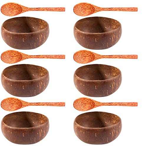 EACTEL Lot de 12 bols en noix de coco faits à la main - Cuillère en bois - Cuillère à dessert - Salade de fruits - Bol à mélanger - Bol à riz et ramen