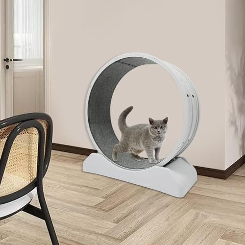 Katzenlaufrad, Laufrad katze mit Arretierung, katzenrad Raddurchmesser 80cm, Laufrad für Katzen, Katzenspielzeug Kratzfest für Haushalte, Zoohandlungen, Robust und Langlebig, Stabil und Leise