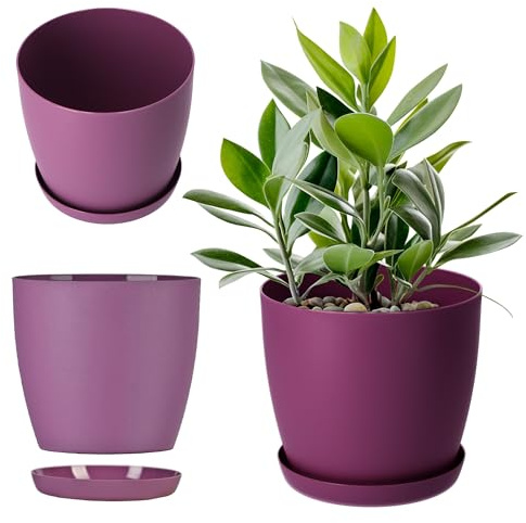 KADAX Maceta, Maceta con Plato, Maceta Redonda de plástico, Maceta Mate para Cactus, helechos, macetero Brillante para balcón, apartamento y terraza (⌀ 16 cm, Ciruela)