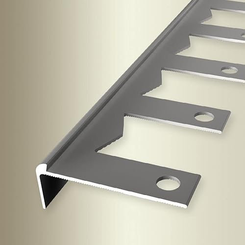 PROVISTON | Treppenkantenprofil | Breite: 48 mm | Höhe: 3 mm | Länge: 2500 mm | Aluminium eloxiert | Biegbares Profil | Edelstahl | Offen Gestanzt
