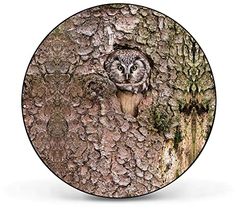 banjado Magnettafel Ø 47cm Schwarz - Magnetwand aus Metall - Magnetpinnwand als Memoboard - Pinnwand Magnettafel Küche, Büro, Kinderzimmer inkl. 4 Magnete & Montageset - Eule