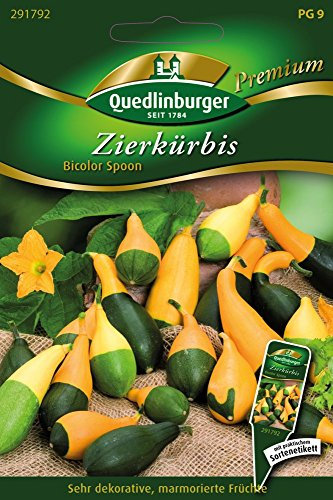 Quedlinburger 291792 Zierkürbis Bicolor Spoon (Kürbissamen)