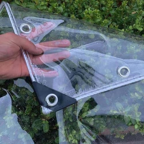 Amunpitic Telone Trasparente Impermeabile 3x1m, Telo Plastica Trasparente Spesso, Teloni PVC Occhiellato Pesante, per Giardini Terrazze Balconi Automobili Piante Serre