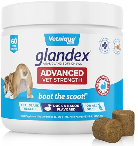 Glandex Advanced Strength Anal Gland Soft Chews avec Mega Fiber pour Chiens, enzymes digestives, probiotiques - Recommandé par Les vétérinaires pour démarrer Le Scoot Vegan Duck & Bacon