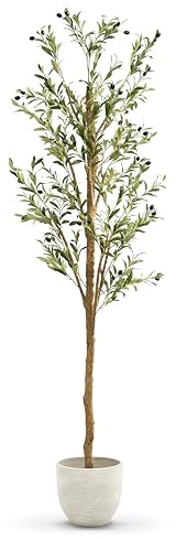 MAIA SHOP Olivo artificiale 210 cm Minimal, pianta finta grande da interno con tronco naturale, albero decorativo realistico per casa ufficio hotel