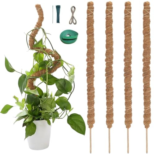 4 Pièces Tuteur Monstera, 40cm Tuteurs Plante, Tuteur Coco pour Plantes Grimpantes, Tuteur Monstera Pliable, avec Attaches, Corde de Jute et Fermeture Autoagrippante, pour Monstera Maison Jardin