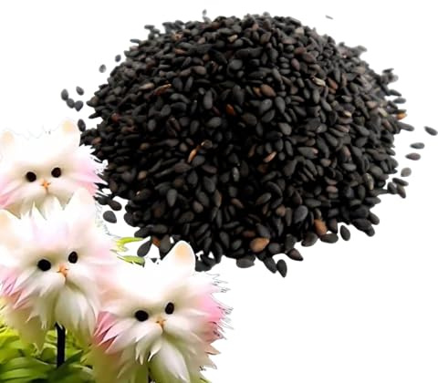 Cat Face Flower Orchid Seeds, Cute Novelty Orchid Flower Plant Seeds, Enhance Indoor Spaces with Beauty Natural Fragrance for Bedroom Study Room, Decorative Fresh Blooms