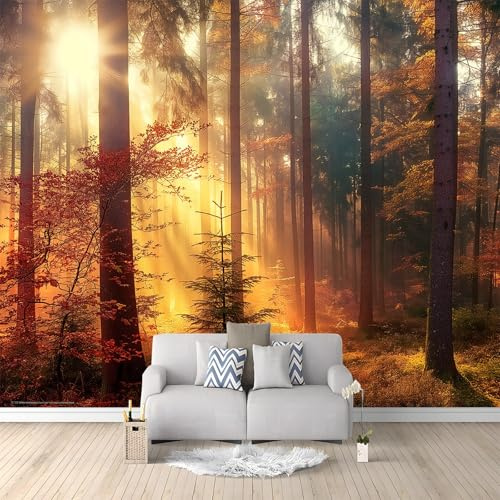 Papier Peint Intissé Coucher De Soleil Sur La Forêt D'Automne 3D Mural Fond D'Écran Tapisserie Murales Panoramique 3D Mur De Fond Tv Papier Peint Chambre Enfant Adulte Poster Murales 250x175 cm