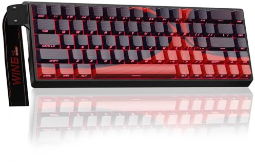 AULA WIN68HE Rapid Trigger Gaming Tastatur mit Kabel,Hall Effect Magnetic Switches,0,01mm RT-Genauigkeit,Einstellbare Betätigung,8000Hz,RGB,60% Mechanische Tastatur