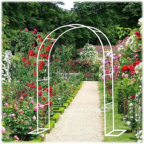 Arche de jardin en métal pour plantes grimpantes, 19 mm d'épaisseur, en acier galvanisé, parfaite pour roses, mariages, décoration de jardin, pelouse et terrasse, blanc, 3,5 m de large x 2,2 m de haut