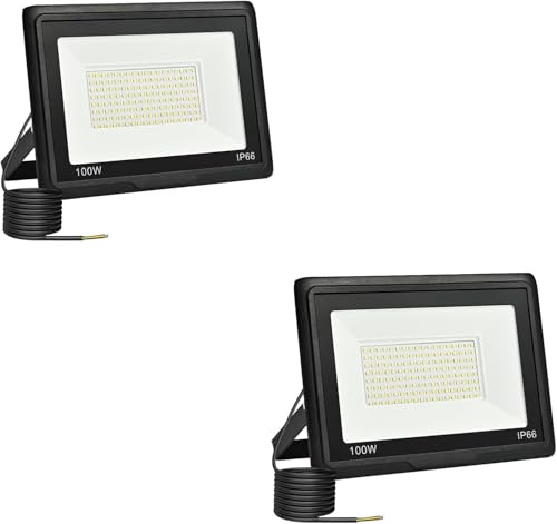 Jefedana Focos LED Exterior 100W Proyector LED Exterior 10000LM IP66 Impermeable Foco Proyector LED 3500K Blanco Frío Floodlight para Casa, Garaje, Patio, Terraza, Campo (2pcs)