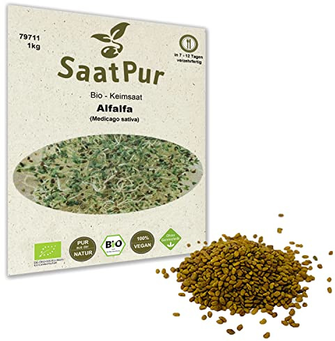 1 kg BIO Keimsprossen Alfalfa Samen Keimling Sprossen Mikrogrün Microgreens Keimsaat Sprossenanzucht