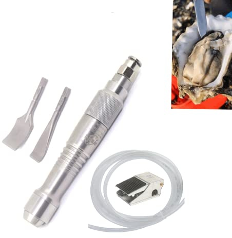 Pneumatic Scraper Micro Air Flux Chipper Chisel Pencil Fine Art Sculpture Carved Wood with 2 chisels Scaling Gas Shovel with Foot Switch