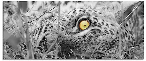 Pixxprint Glasbild Panorama, Wandbild aus Echtglas, aufmerksamer liegender Leopard, 100x40 cm, inkl. Aufhängung und Abstandshalter