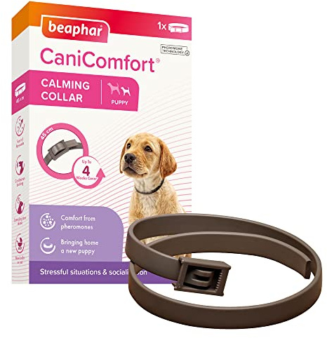 Beaphar | CaniComfort lugnande halsband för valpar (upp till 45 cm) | Ger pågående stöd till ångestiga och nervösa hundar | börjar fungera på 15 minuter | Hjälper till att lindra rädsla för