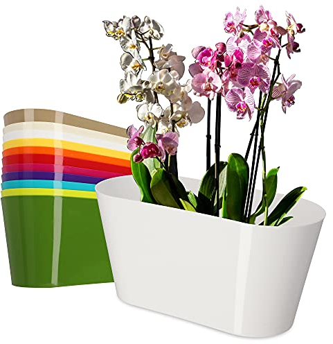 KADAX Flowerpot fatto di plastica, 27 x 13 cm, vaso largo, pentola a pianta ovale, tappeto di fiori per orchidee, bellis, matrigna, draze (bianco)