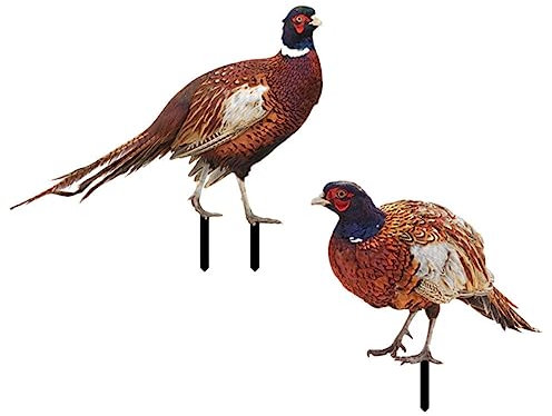 Happyyami Garden Statues Outdoor Acrylic Pheasant Stake Sign Yard Decoration for Lawn Ornament