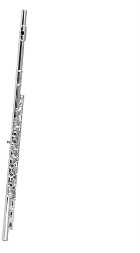Querflöte Instrument 17-Loch-Flöte Mit Offenem Loch Gerade Für Anfänger Für Spielen Des Holzblasinstruments Der Prüfungsklasse
