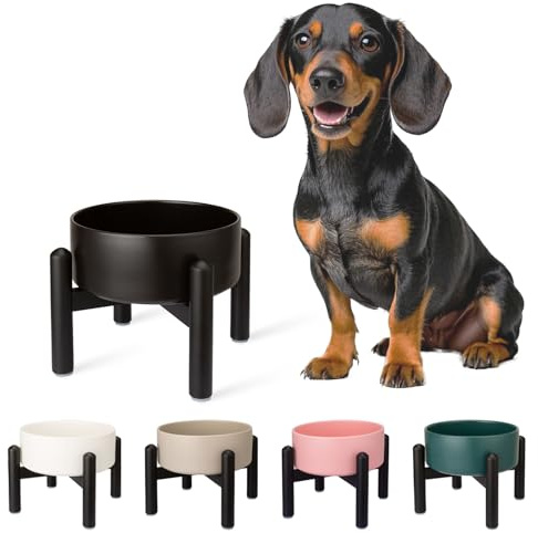 Comedero Perro Elevado de Cerámica - Cuenco para Perros Pequeños y Medianos - Plato Comida con Soporte de Acero Inoxidable - 850 ml - Negro