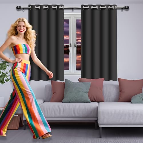 FEIJDON Vorhang Verdunkelung Blickdicht Gardinen 120 x 230 cm Thermo Vorhang Gegen Kälte Und Hitze Wohnzimmer Vorhänge Schlaufen Gardinen mit Ösen, Waschbar für Wohnzimmer, Dunkelgrau