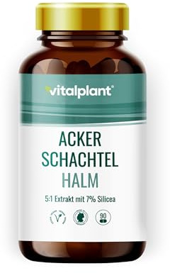Vitalplant® Ackerschachtelhalm Extrakt 500mg im Braunglas - 120 Kapseln Hochdosiertes Schachtelhalm Extrakt (5:1) mit organischem Silizium - Vegan