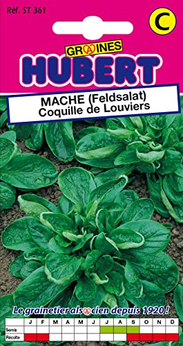 Graines de Mâche Coquille de Louviers - 4 grammes