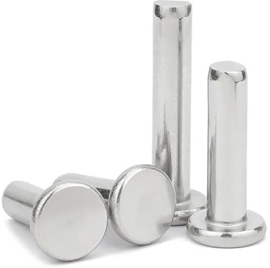 5/50pc M1.5 M2 M2.5 M3 M4 M5 M6 M8 GB109 304 Stainless Steel Flat Round Head Solid Rivet Self Plugging Knock-on Rivet Nail Bolts(10Pcs M6,50mm)