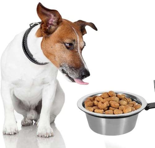 PartyKindom ErhöHter Hundenapf Mit Edelstahl Napf Und Wandhalterung FüR Kleine Hunde Wandmontage Futternapf Hund ErhöHt FüR Trocken Und Nassfutter