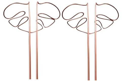 LIXSAZSE Piliers de Plantes d'intérieur, Support Flexible pour Plantes à Feuillage et vignes, colonnes décoratives de Jardin en Alliage, 2 pièces/Ensemble, Bronze