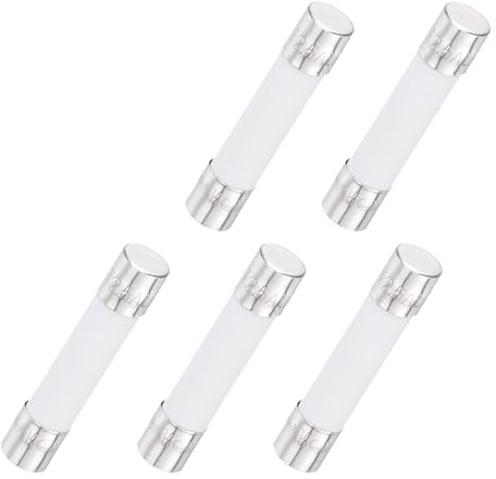QUARKZMAN 5Pcs Fusibile Ritardo Temporale Ceramico Tubolare 6mm x 30mm 250V 2.5A Fusibile Lento Per Riparazione Circuiti Stampa, Apparecchiature Illuminazione, Strumentazione.