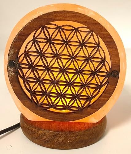 crigema - USB Himalaya Saltlampa - 12 cm hög - 0,5-1 kg (LIVETS BLOMMA)