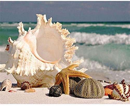 Zdklfm69 Peindre par Nombre Peinture par numéro Kits de Coquille de Sable Bricolage Peinture Abstraite par numéro sur Toile décor à la Maison numérique Peinture à la Main décorer 40x50cm