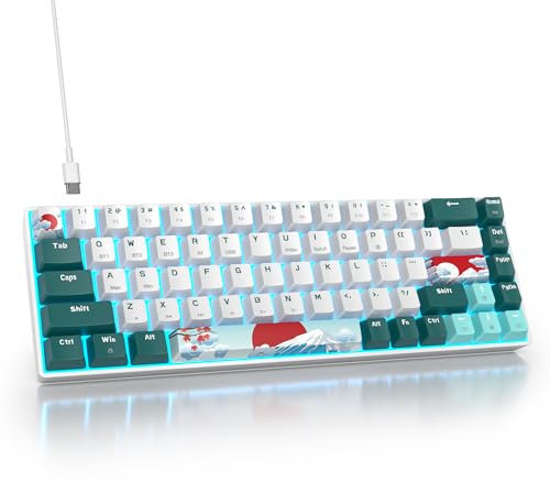 SbocKeeb Tastiera Wireless Gaming,65% Tastiera Meccanica Senza Fili-American QWERTY Layout,2.4Ghz/Bluetooth/Type-C Anti-Ghosting, Retroilluminazione RGB per PC
