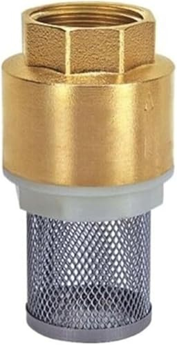 EYRMQWJPC Filtre de Tuyau en Acier Inoxydable, Clapet Anti-Retour for Filtre de canalisation Verticale for Nettoyeur Haute Pression en Laiton Inoxydable 304, Plusieurs Tailles(1)