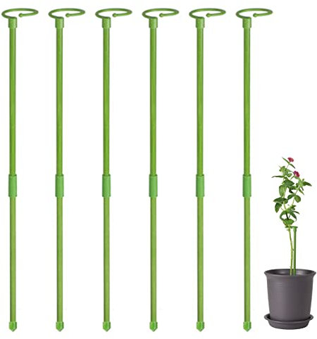 Monstera 6 tuteurs ronds pour plantes grimpantes 60 cm | Support pour plantes hautes et fleurs | Tuteurs pour orchidées, amaryllis, pivoines, poivrons, etc