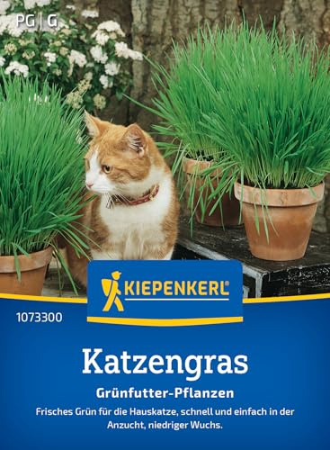 Kiepenkerl Katzengrassamen Frischgrün Mischung 1073300 - frisches Grün - schnell und einfach - niedriger Wuchs - Gräser, Pflanzensamen, Saatgut