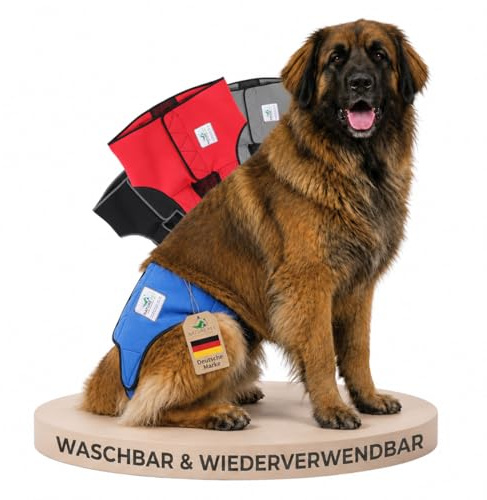 NATURE PET Premium Läufigkeitshose für Hündinnen – Hochwertige & Bequeme Hundewindeln für Hündinnen & Rüden – Waschbare Inkontinenz-Hundewindel ohne Einfädeln der Rute – XL/Blau