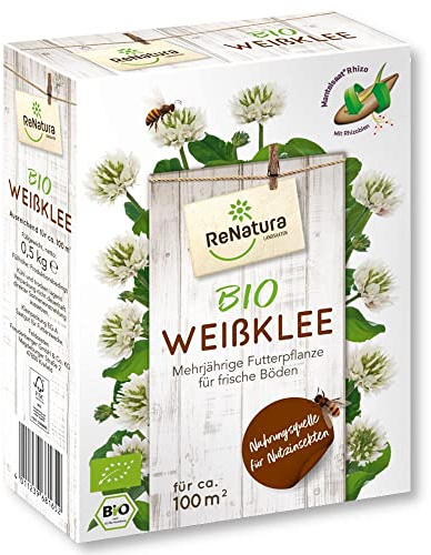 RenNatura Bio Weißklee (Trifolium repens) 0,5 kg Futterpflanze mehrj. Kleesaat