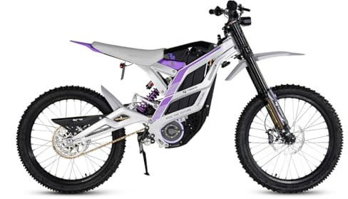79Bike Falcon pro ElektroDirtbike für Erwachsene, 19 Zoll Elektromotorrad mit 72V 35Ah Lithium Akku, 125 km Reichweite, 10 kW Motor, 410Nm E Bike Herren Damen (Silberviolett)